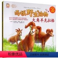 大角羊克拉格 [正版]彩绘版全套8册 西顿故动物故事集动物小说全集动物科普绘本7-12岁小学生三四年级课外阅读书籍儿童文
