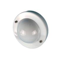 祝鑫 实验小球 含芯片 个