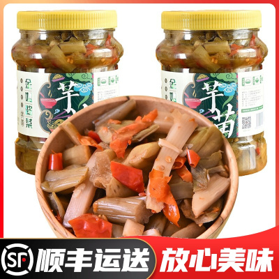 金姐芋苗酸辣芋头梗芋梗酸芋苗酸菜农家腌芋苗酱香大瓶装咸菜酱菜广西特产横县特产金姐芋苗750gX2瓶