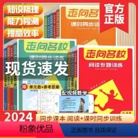数学 七年级上 [正版]2024走向名校数学物理化学英语初中七八九上下册课时同步训练 走向名校初一二三789年级语文阅读