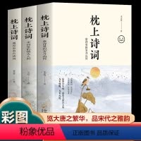 [正版]枕上诗书诗词全套3册 彩图珍藏版一本书读懂美古中国枕上诗词大会飞花令浪漫鉴赏系列书籍诗经唐诗宋词全集古代文化常