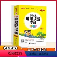 [正版]全新PASS绿卡图书 小学生笔顺规范手册 全彩手绘 第10次修订 掌中宝小册子 全国通用版 青岛出版社 小学笔