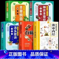 [5册]漫画讲透黄帝内经中医书籍 [正版]抖音同款漫画讲透黄帝内经漫画版原版图解白话文儿童四季二十四节气十二时辰养生大全