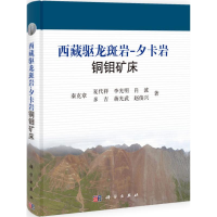 [N]西藏驱龙斑岩-9787030406934