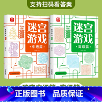 迷宫游戏(中级+高级) [正版]儿童迷宫书3-4-5-6-7-8一10-12岁幼儿园到小学生分级迷宫专注力训练书一二年级