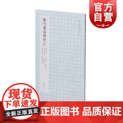隋代墓志精粹三解昭于斌衙闻钱大忍豆卢贤刘度周法尚 本社编上海书画出版社精选书法资料鉴赏
