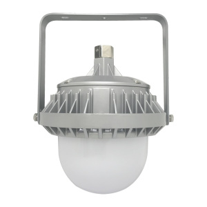 领航电器(LHDQ) LHF2109C/YJ LED应急吊杆灯 30W 应急时间90min 冷光 220V IP65