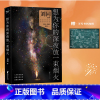 [正版]想为你的深夜放一束烟火 刘同 23个暖心故事 青春文学 果麦出品