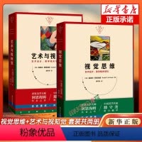 [正版]2册视觉思维+艺术与视知觉(共二册)纪念版美学大师阿恩海姆作品集原理书艺术史设计美学学科四川人民出版书籍