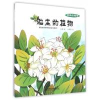 正版新书]胎生的植物(精)/神奇的植物高霞|绘画:张博阳978756821