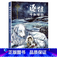 逐狼呼和塔拉 [正版]逐狼呼和塔拉青岛出版社黑鹤非常勇敢系列典耀中华书香河南四年级整本书阅读笔墨书香经典阅读打卡阅美好书