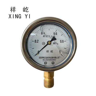 祥屹 耐震压力表 YN60 块