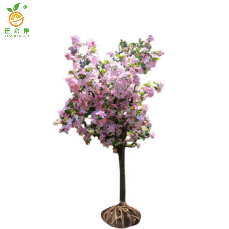 廷豪果 桃树(观赏桃) 1.8-2.0米 /棵