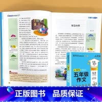 小学生 五年级作文 小学通用 [正版]小学生一二三四五六年级同步作文起步看图写话每日一练日记周记好词好句好段大全写作方法