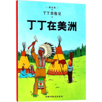 [M]丁丁在美洲-9787500794660