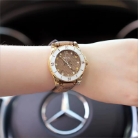 探志新款女士手表时尚夜光指针式大表盘石英防水腕表皮带百搭时装女表