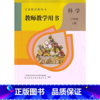 [正版]鄂教版2024新版小学3三年级上册科学教师教学用书人教版人民教育出版社三年级上册英语教参英语书教师资格证考试参考