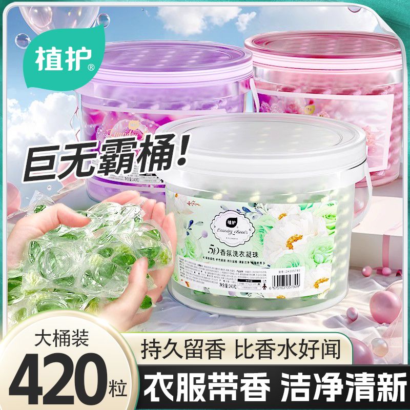 植护洗衣凝珠去渍持久留香氛洗衣液留香珠巨无霸大桶装山茶花家用