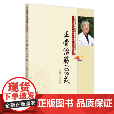 正骨治筋108式·毛天东老中医药专家传承工作室系列丛书 中国中医药出版社 正版书籍