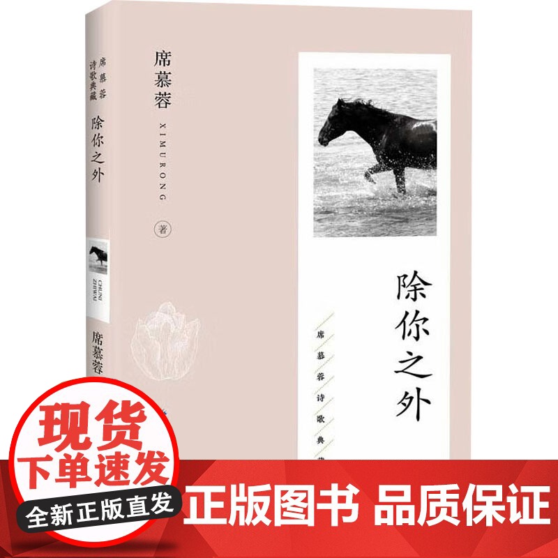 除你之外 席慕蓉 著 中国现当代诗歌文学 正版图书籍 长江文艺出版社