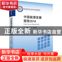 正版 中国能源发展报告:2018:2018 (美)林伯强 北京大学出版社