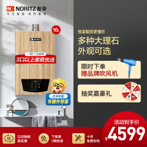 能率(NORITZ) 16升彩壳燃气热水器天然气 智控恒温 带水量伺服器GQ-16PA6AFEX-W02(暖木)高端机