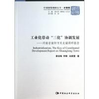 正版新书]工业化带动"三化"协调发展:河南省南阳市双龙镇调研报