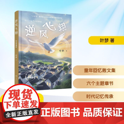 逆风飞翔 名作精编版 叶梦 著 儿童文学少儿 正版图书籍 湖南少年儿童出版社