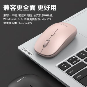 联想(Lenovo)生态异能者 无线鼠标N300 Pro 粉色