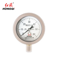 红旗 膜盒压力表 YE100 0-60Kpa 块
