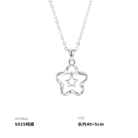 925纯银花朵星星吊坠项链女锁骨链轻奢小众设计ins时尚韩国送女朋友老婆情人节七夕生日礼物
