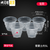 三维工匠美莳控根花盆石斛专用盆 透气 洋兰花盆蝴蝶兰盆塑料花盆创意透明 5只12cm透明盆带空气柱买的多 小花盆容器