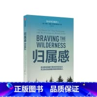 [正版]归属感 布琳·布朗著 无所畏惧作者 TED演讲人之一 王建一 解读了孤独和归属感之间的联系