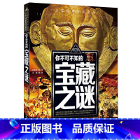 宝藏之谜 [正版]少年探索发现系列少儿科普书籍 你不可不知的兵器之谜 中国世界未解之谜大全集 中小学生科普读物少儿百科三