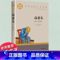 世界经典 文学名著[高老头] [正版]高老头书 巴尔扎克著作 中学生课外书必读老师阅读经典文学小说 世界名著 高中生初中