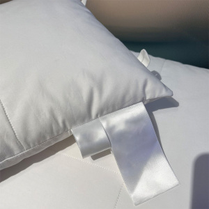 天山柔净眠润肤活套枕