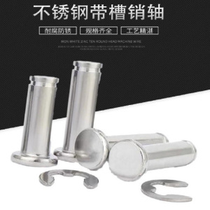 时友 TIME FRIEND 不锈钢槽销 6*20 个