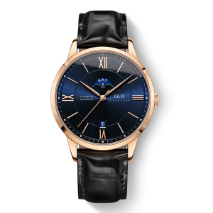 瑞士嘉年华(CARNIVAL)正品手表全自动机械表 男表休闲时尚皮带男士腕表进口机芯防水品牌复古腕表528G