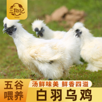 [苏鲜生推荐]三物纪白羽乌鸡800g/只 1只装新鲜现杀冷冻肉质鲜美农家慢养整只顺丰发货