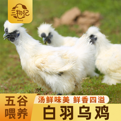 [苏鲜生推荐]三物纪白羽乌鸡800g/只 1只装新鲜现杀冷冻肉质鲜美农家慢养整只顺丰发货