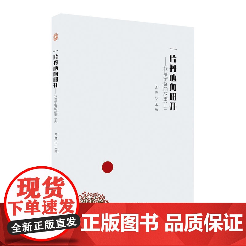 一片丹心向阳开---我与宁馨的故事(上)