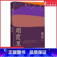 [正版]烟霞里魏微著第十一届茅盾文学奖获奖作品鲁迅文学奖全新长篇小说十三年长篇小说新作致敬喧哗与骚动光荣与梦想 书店书