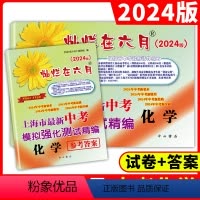 [正版]2024版 灿烂在六月 中考化学+参考答案 上海市新中考模拟强化测试精编 初一初二初三年级 中考化学复习测试中