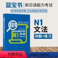 [正版]新版新日本语能力考试N1文法(详解+练习)修订版 蓝宝书附赠解析许小明全新修订华东理工大学出版社日语能力考一级