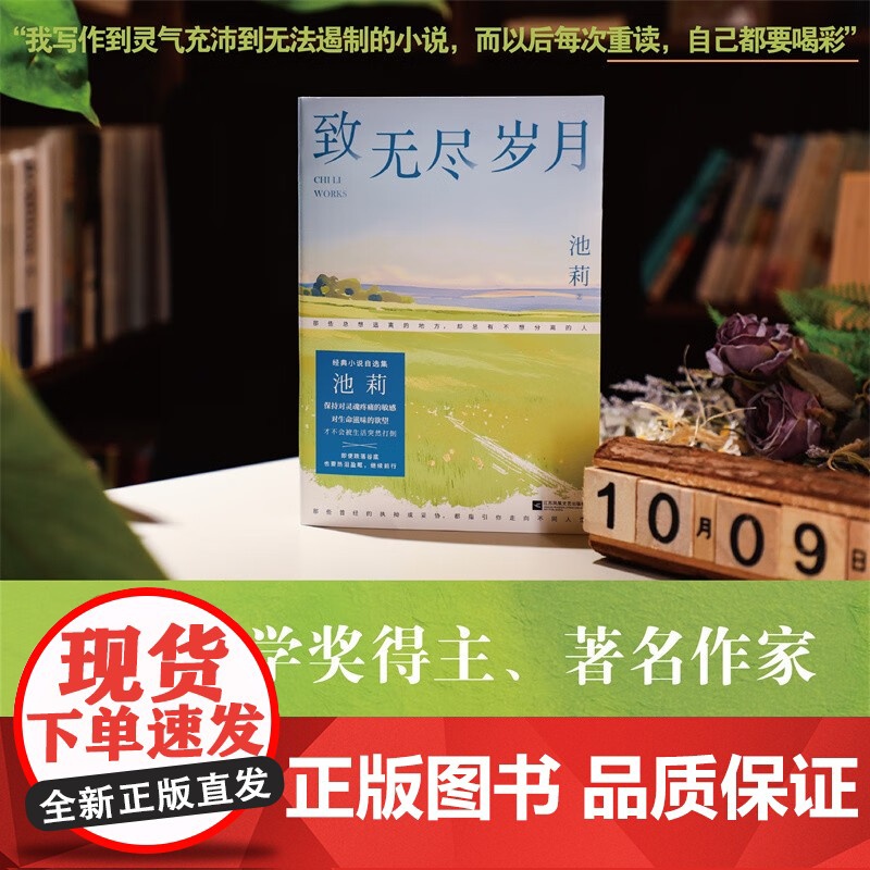 致无尽岁月 池莉 著 小说