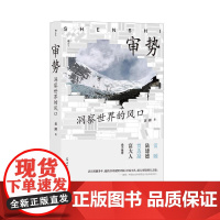 审势洞察世界的风口 黄湘群言出版社