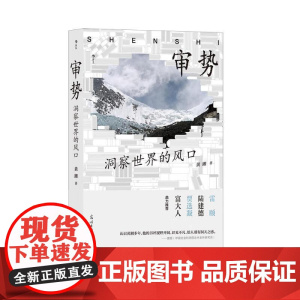 审势洞察世界的风口 黄湘群言出版社