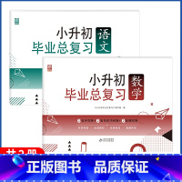 语文+数学[全2册] 小学升初中 [正版]2023小升初系统总复习真题卷必刷题人教版复习资料模拟试卷小学毕业总复习冲刺专