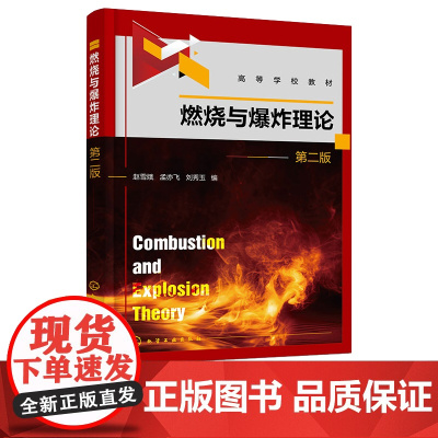 燃烧与爆炸理论 赵雪娥 第二版 第2版 化学工业出版社