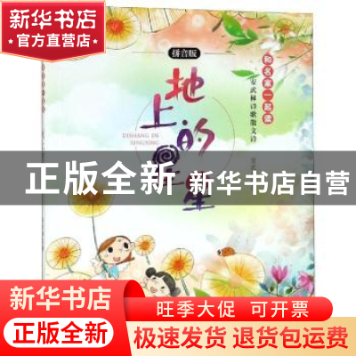 正版 地上的星星 安武林著 新世纪出版社 9787558315176 书籍